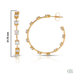 Y