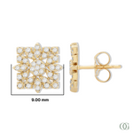 Y